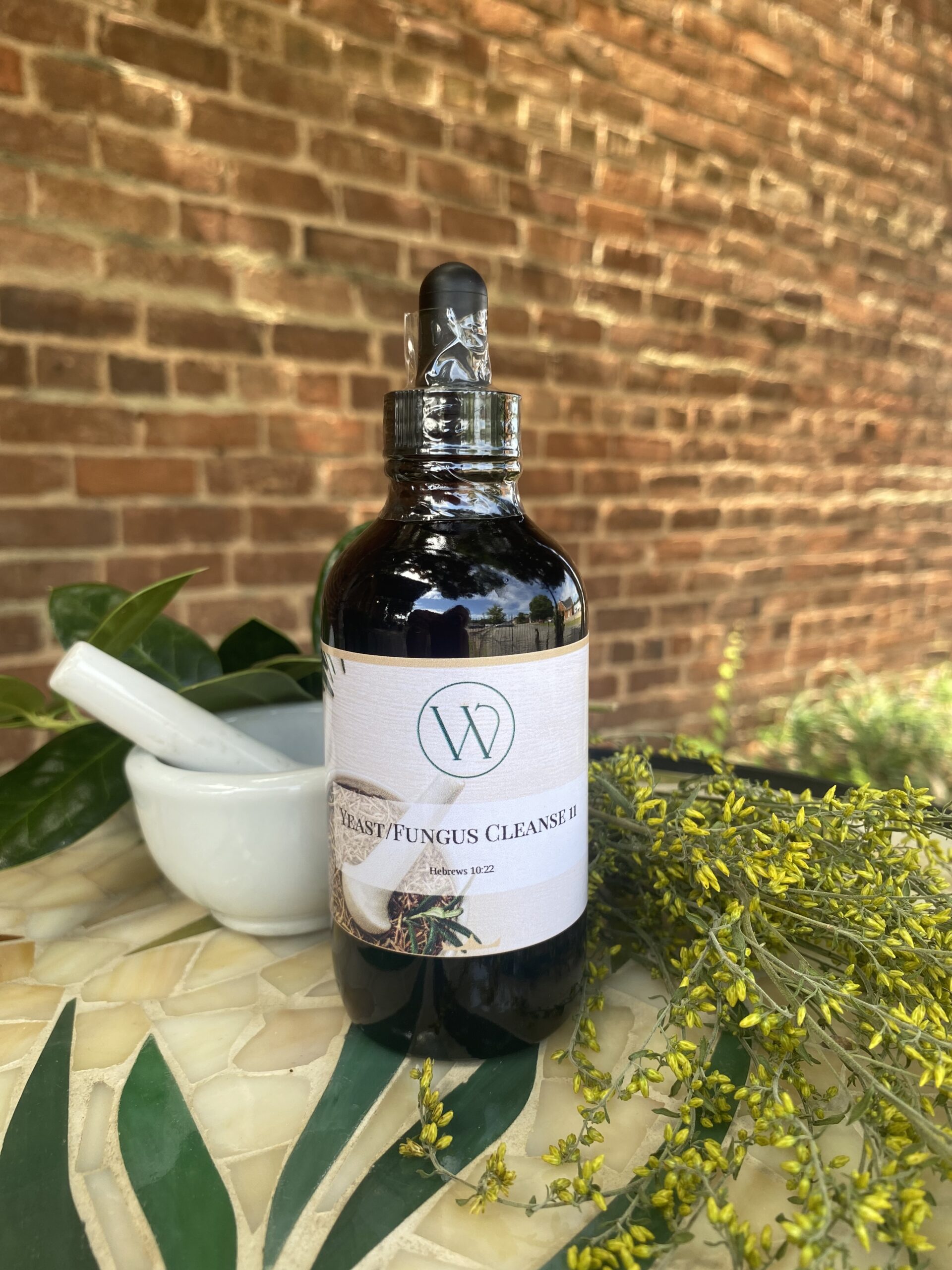 Yeast/Fungus Cleanse 11