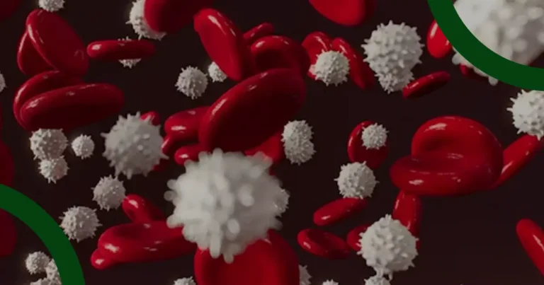 Make your own Immune Formula